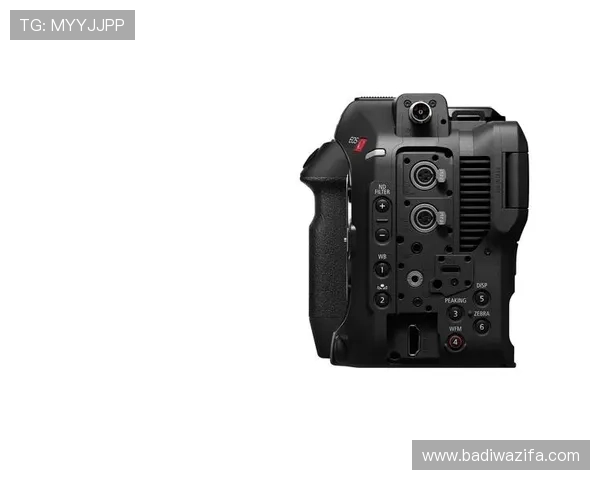 尊龙z6.com手机登录常见问题及解决方法全面解析指南