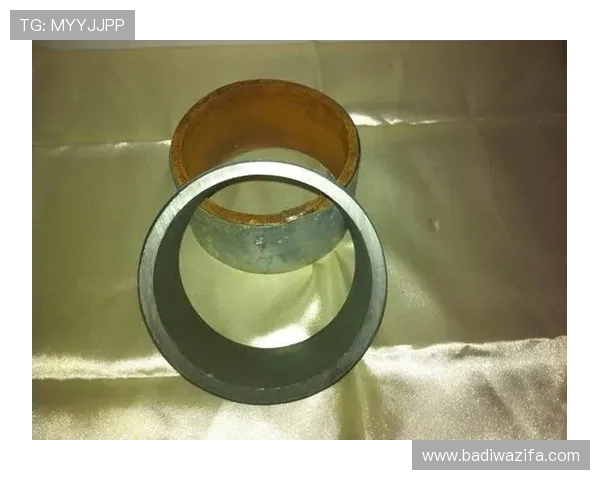 探索尊龙凯时在线登录的最新功能与应用