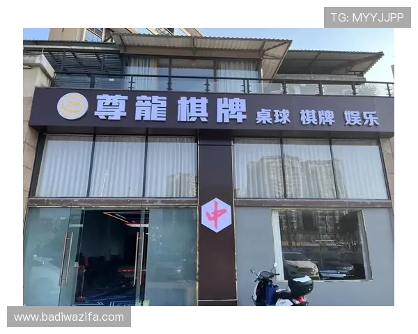 精品棋牌新生：尊龙棋牌改名背后的秘密与魅力