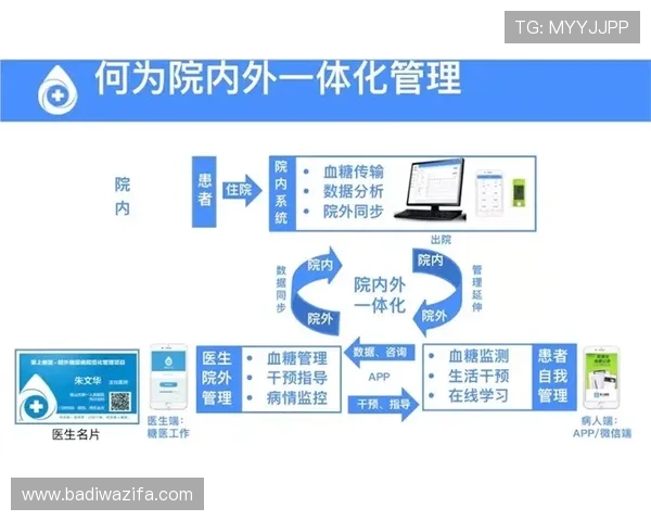 凯时登录入口多渠道访问方式详解让用户轻松找到官方入口入口